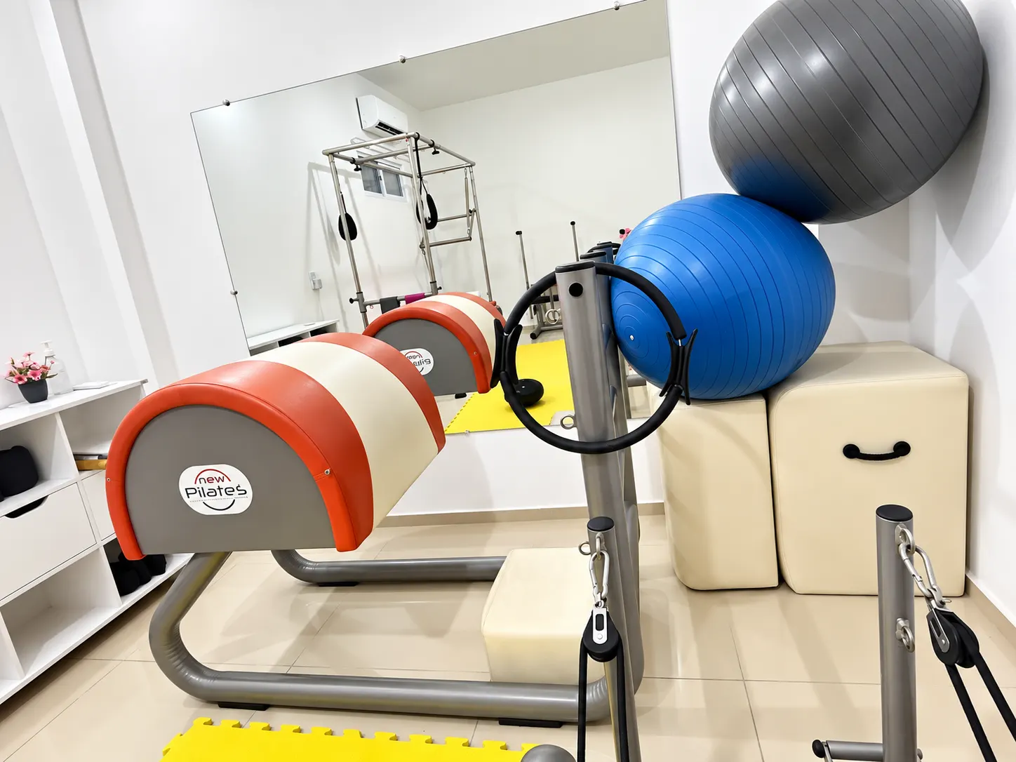 Ladder barrel e reformer com bolas de exercício e espelho